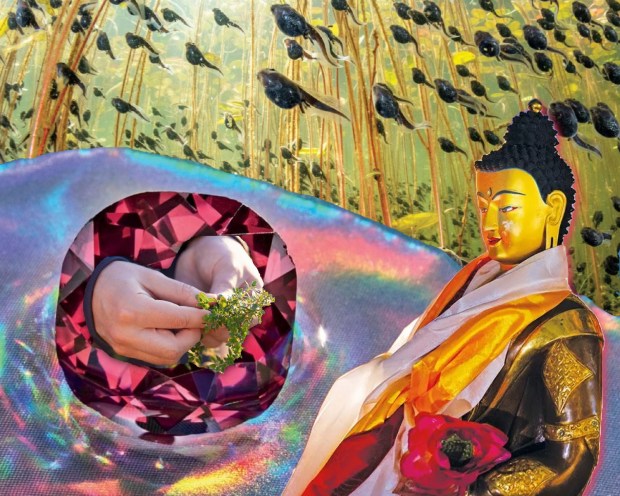 A collaged image of hands offering the Buddha hearts from a gem, and he is surrounded by fish.
